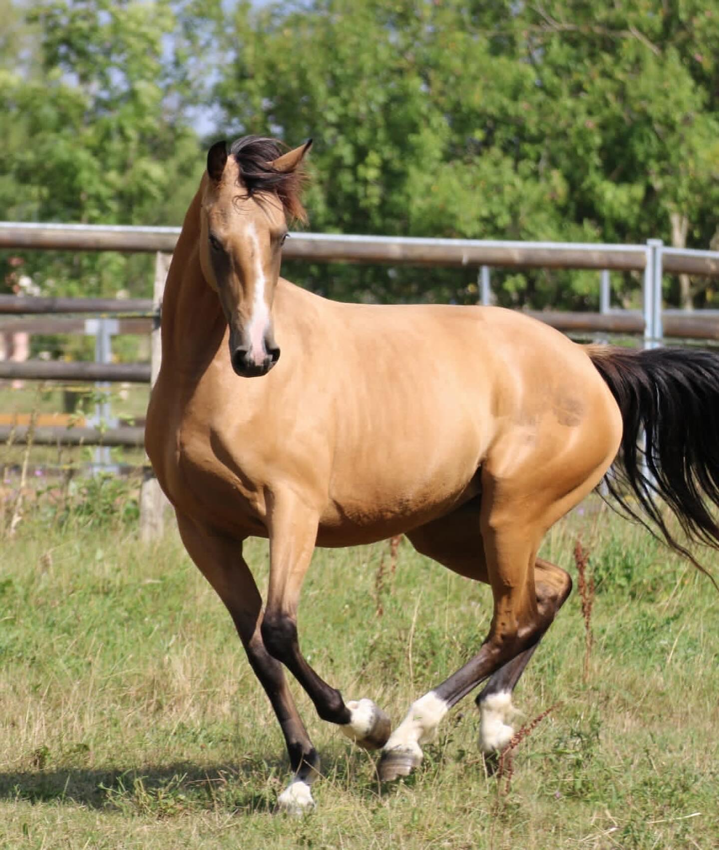 A5C69718-767C-4FA7-933B-B34F7B79EC1F